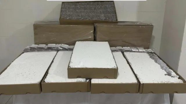 Çanakkale'de Kaçakçılık Operasyonu: 120 Bin Dolu Makaron Ele Geçirildi