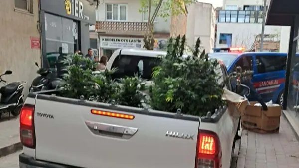 Çan’da Apartman Dairesinde Uyuşturucu Yetiştiren Şüpheli Yakalandı