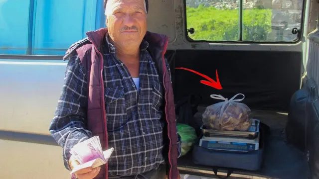 Kazdağları’nda Kuzugöbeği Bereketi: Kilosu 1000 TL’den Satılıyor