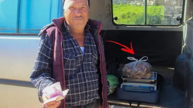 Kazdağları’nda Kuzugöbeği Bereketi: Kilosu 1000 TL’den Satılıyor
