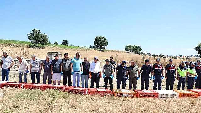 Çanakkale’de Doğaya 1.000 Kınalı Keklik Salındı