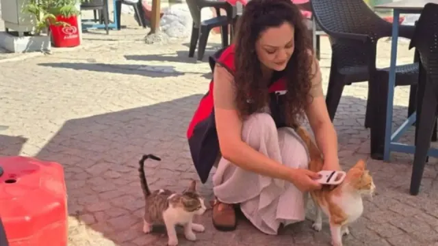 Ezine'de Evcil Hayvanlar İçin Sağlık Çalışmaları Devam Ediyor